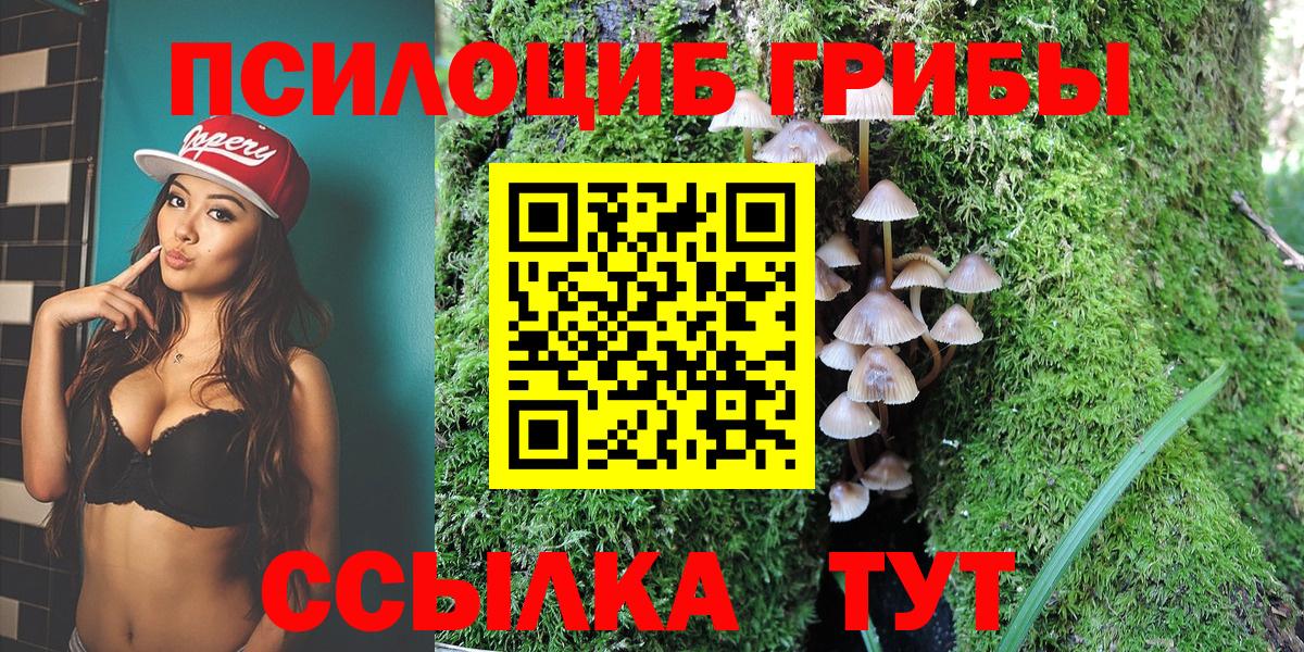 Березники  Галлюциногенные грибы Psilocybe  Вход с VPN  где купить   Псилоцибиновые грибы Psilocybe 